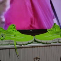 کفش راحتی مردانه کاشوز|کیف، کفش، کمربند|اسلامآباد غرب, |دیوار