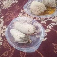 عسل کاملا وحشی وطبیعی کوههای سرمشهد درحوالی کازرون