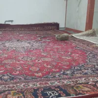 فرش دست بافت ۱۲ متری سالم سالم|فرش|ارومیه, |دیوار