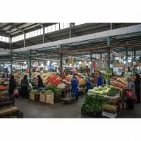 کارشناس کنترل کیفیت (QC) در اسنپ فود