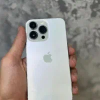 13pro