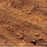 زمین باغ شهرستان بافت روستای حسن اباد