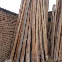 درخت و چوب تیجه چوب سقفی خرید فروش