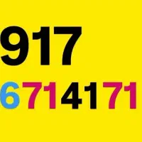0917-4-81-51-31