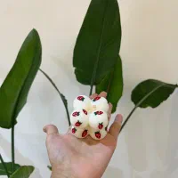 شمع ژورنالی|صنایع دستی و سایر لوازم تزئینی|رشت, منظریه|دیوار