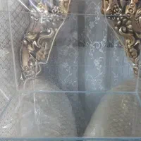 آکواریوم شیشه خم