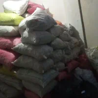 نان خشک برداشت نان خشک از ۵۰کیلو به بالا