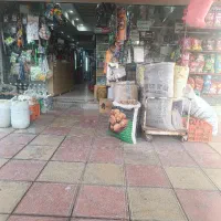 استخدام