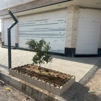 اجاره مغازه در بلوار کارگر