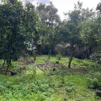 فروش-ملک-شخصی-در-مرکز-شهر-بدون-واسطه