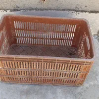 سبدهای 25کیلویی