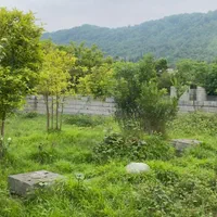 فروش زمین ۲۱۱ متر با مجوز در قلعه گردن