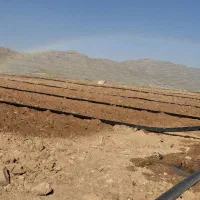 فروش-زمین-باغ-شهری-قره-چمن