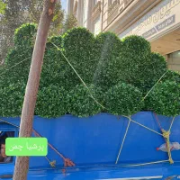 فنس چمن و فنس برگی و گرینوال