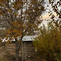 کلبه باغ سوییت|اجارهٔ کوتاهمدت ویلا و باغ|کرمانشاه, |دیوار