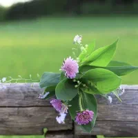 دریافت ۳۰۰ تومان در ۳ دقیقه از سایت طلا