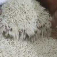 برنج عنبربو مارک اعلاء اعلاء|خوردنی و آشامیدنی|قم, نخودی|دیوار