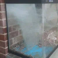 آکواریوم سالم و ارزان فروشی