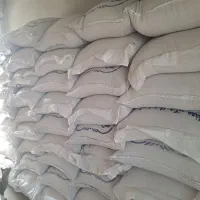 بذردرجه یک اعلاء ازمادری کوهدشت|خدمات باغبانی و درختکاری|گنبد کاووس, |دیوار