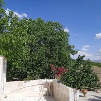 اجاره ویلا استخر دار منزل   زایندرود زمانخان