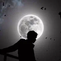 باشگاه کیک بوکسینگ