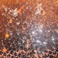 عسل طبیعی زنبور بومی|خوردنی و آشامیدنی|موچش, |دیوار