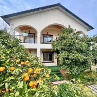 700متری-ویلاباغ-رویایی-سند-تک-برگ-در-الیمالات