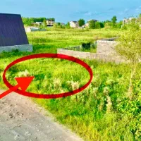 زمین ساحلی مناسب ساخت کلبه سوئیسی|فروش زمین و ملک کلنگی|چاف و چمخاله, |دیوار