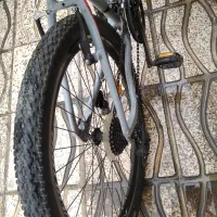 دوچرخه|دوچرخه، اسکیت، اسکوتر|شیراز, دست خضر|دیوار