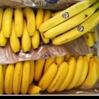 حراج موز فیلیپین اکوادور|حراج|قائم‌شهر, |دیوار