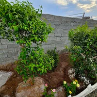 باغ وباغچه170متر چهاردیوار/اقساطی×/برق|فروش زمین و ملک کلنگی|تهران, شوش (باغ آذری)|دیوار