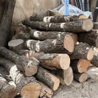 چوب گلابی