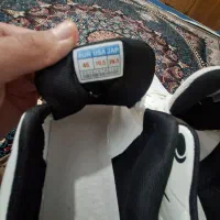 کفش|کیف، کفش، کمربند|سنقر, |دیوار