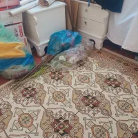 ۲ عدد گلیم فرش