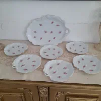 ظروف پذیرایی