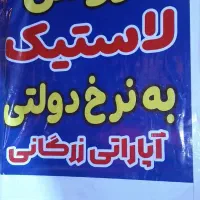 لاستیک  دولتی