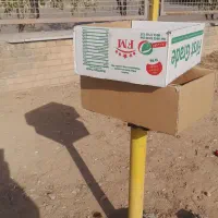 کارتن|عمدهفروشی|تاکستان, |دیوار