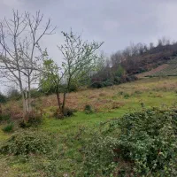 زمین-3000هزارمتری