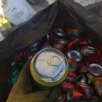 خرید ضایعات رانی و کارتن به بالاترین قیمت روز|خدمات پیشه و مهارت|تبریز, |دیوار