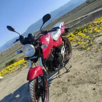 موتور پالس در حد|موتورسیکلت|گنبد کاووس, |دیوار