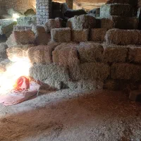 چهار تن پرس دیمه موجود است