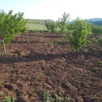 باغ ۴ ساله در منطقه کوهستانی و باصفای زرشک|فروش زمین و ملک کلنگی|قزوین, |دیوار