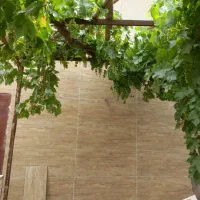 کاشی کاری ماهر