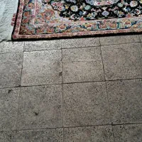 زرونیم چله ابریشم|فرش|تبریز, |دیوار