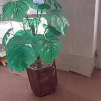 گل مصنوعی بزرگ سالنی