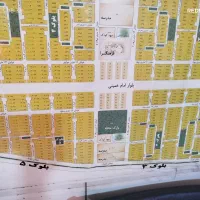 مشارکت در ساخت وایین