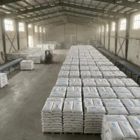 همکاری با خانم بلاگر جهت تبلیغات محصولات