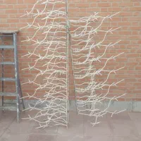 شاخ گوزنی 4 متر