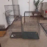 قفس پرنده سالم با سایز متفاوت