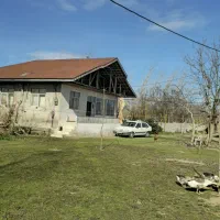 کدغاز-8700متر-خانه-وشالیزار-که3000مترش-مسکونیه